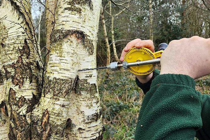 Adult Foraging Walk & Bushcraft Cookery Course for Beginners - Key things to know before you book