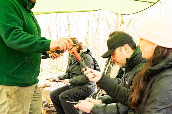 Adult Foraging Walk & Bushcraft Cookery Course for Beginners - The foraging walk puts theory to work
