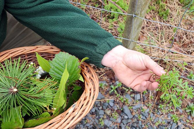 Adult Foraging Walk & Bushcraft Cookery Course for Beginners - The setting adds more than scenery
