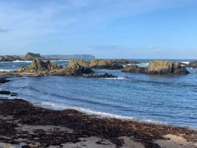 Giant’s Causeway 8 hour private day tour