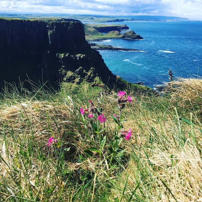 Belfast:Giant's Causeway private tour with accreditted guide - Walking among the Giant’s Causeway columns