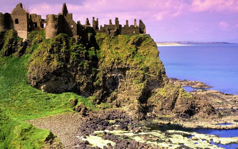 Belfast: Giant's Causeway Tour and 2-Day Open Top-Bus Tour - The Dark Hedges and the practical lunch break