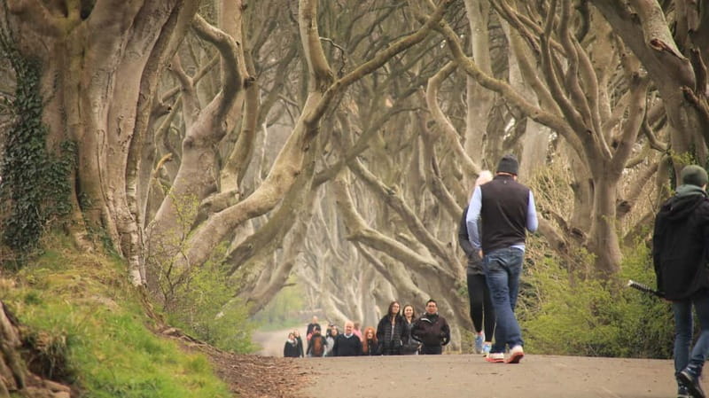 Belfast: Giants Causeway and North Coast Private Group Tour - Seven hours, one private group, and a full route