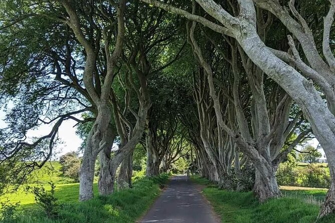 Belfast & Giants Causeway Luxury Mercedes Private Tour for 6 pax - Key points to know before booking