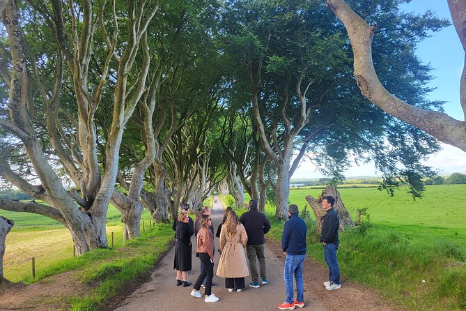 Belfast & Giants Causeway Luxury Mercedes Private Tour for 6 pax - Belfast murals and the Peace Wall