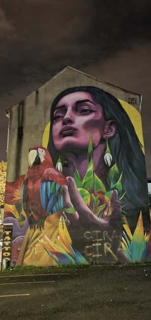 Belfast : Pub Music , Street Art Experience Walking Tour - Is $30 good value?