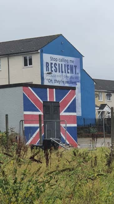 Belfast Troubles : Murals, Street Art, and Peace Wall Tour - Walking conditions, weather, and language