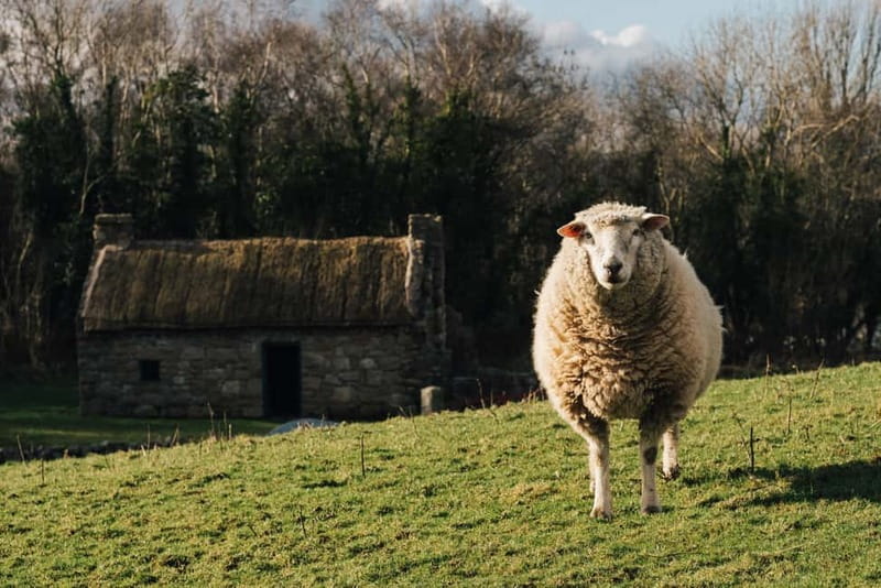 Belfast: Ulster Folk Museum Entry Ticket - Why this museum feels different from a standard heritage site