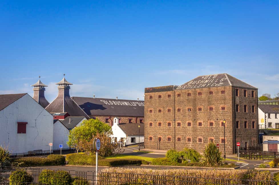 Dublin: Belfast Walk, Dunluce Castle & Giant’s Causeway - Making the most of Belfast’s free time