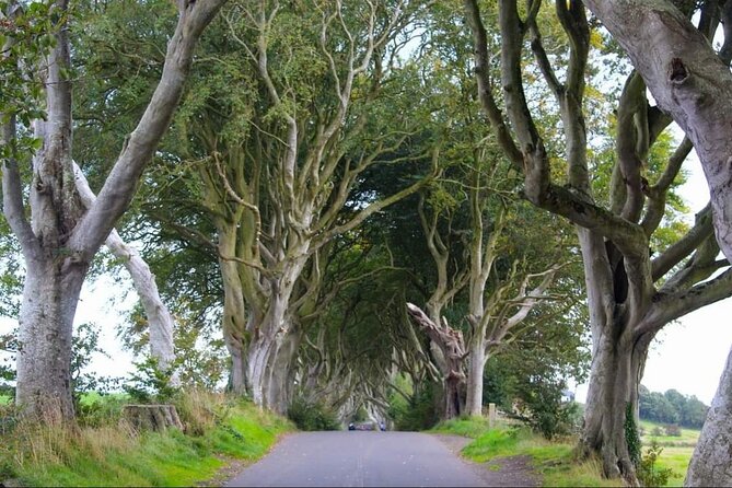 Experience the Antrim Coast and the Land of Giants - Private Tour - Carrick-a-Rede tests your nerves and legs