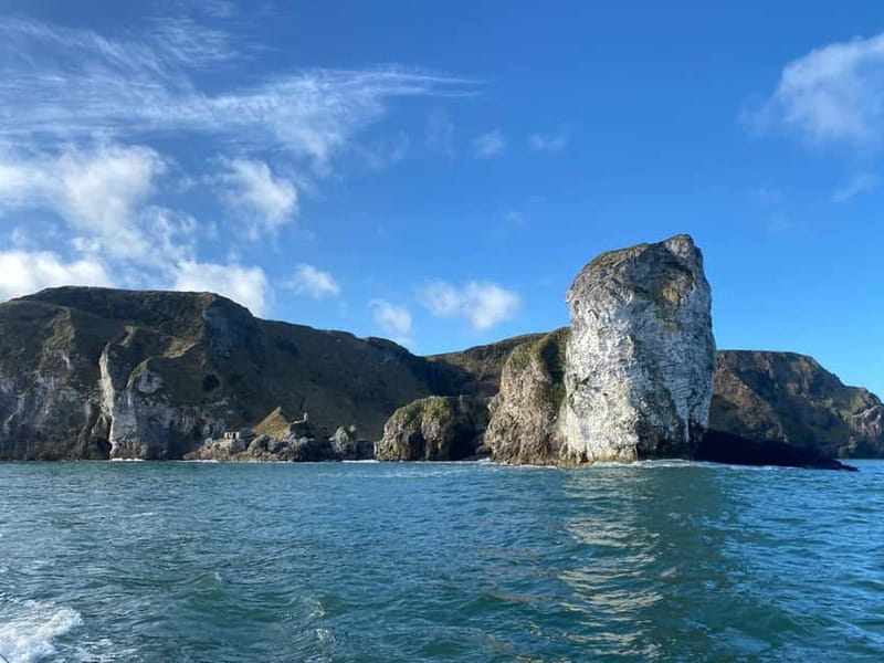 From Belfast: Full-Day Giants Causeway Land and Boat Tour - The guides can shape the whole day
