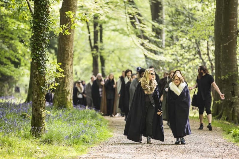 From Belfast: Game of Thrones Winterfell Locations Tour - Tollymore Forest and the Haunted Forest