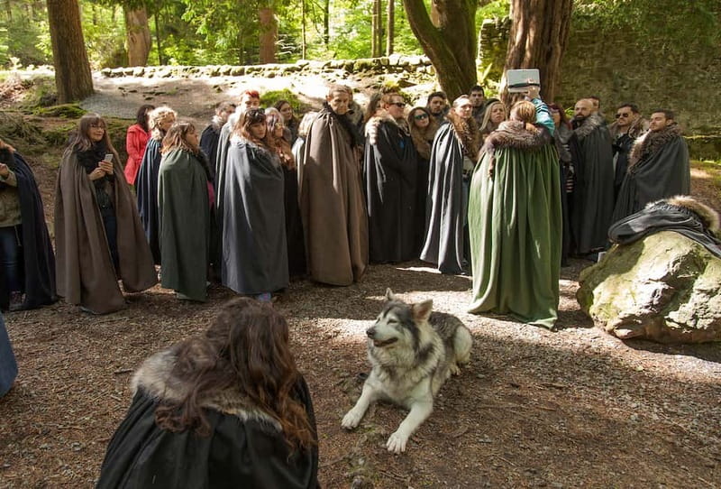 From Belfast: Game of Thrones Winterfell Locations Tour - Is $66 a fair price?