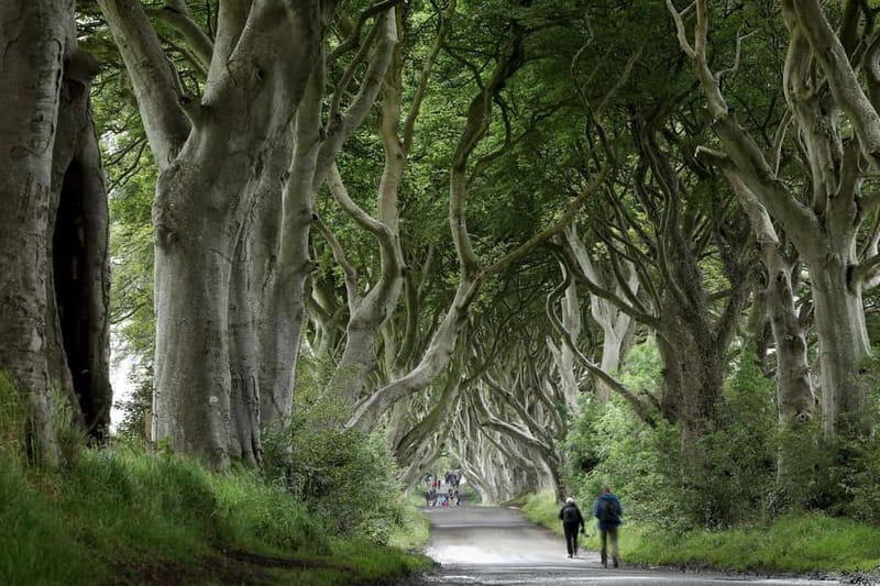 From Belfast: Giant's Causeway and Game of Thrones Tour - Why this seven-hour route works