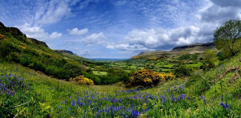 From Belfast: Giant's Causeway and Titanic Belfast Tour - The Dark Hedges and the Game of Thrones connection
