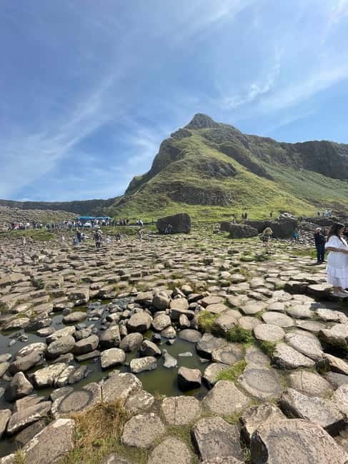 From Belfast: Giants Causeway belfast private tour 8 pax - The Dark Hedges and the Game of Thrones connection