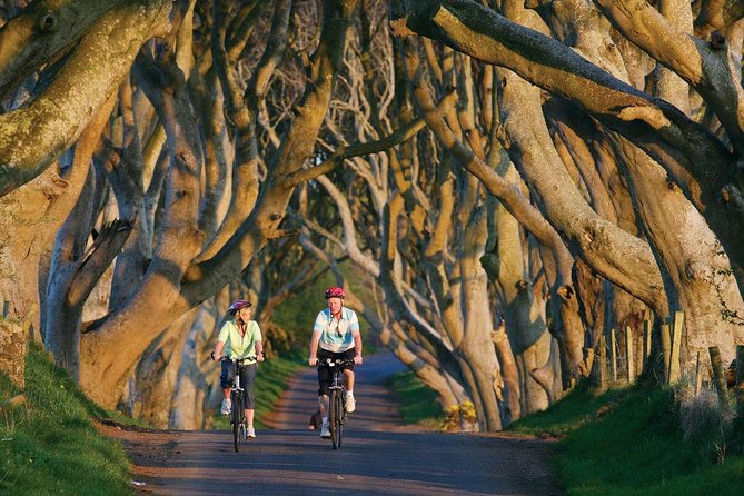 From Belfast-Giants Causeway, Dunluce Castle and Dark Hedges tour - The coach ride is part of the experience