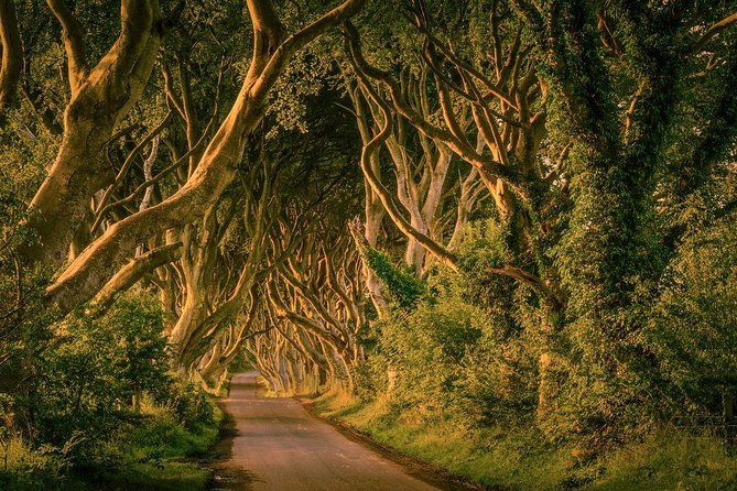 From Belfast-Giants Causeway, Dunluce Castle and Dark Hedges tour - What the $69.45 price really buys