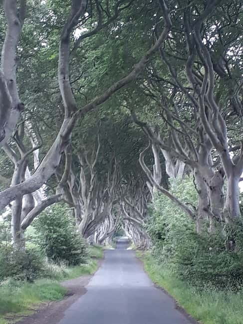 From Belfast: The Giant's Causeway & Game of Thrones Tour - Carnlough Harbour becomes Braavos
