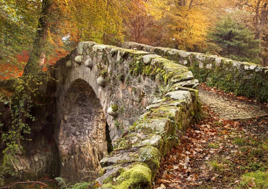 From Newcastle: Game of Thrones Tollymore Forest Trek - Stop Three: The Direwolf Bridge
