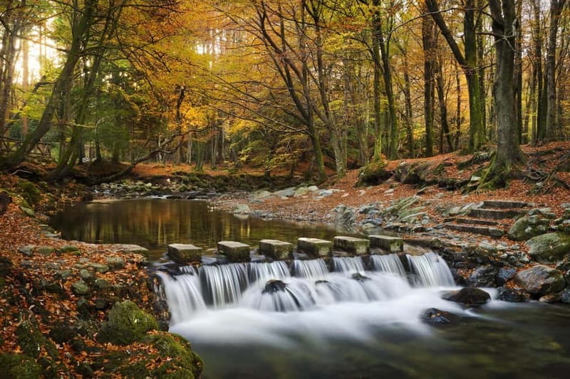 From Newcastle: Game of Thrones Tollymore Forest Trek - Getting to the 10:00 AM Meeting Point