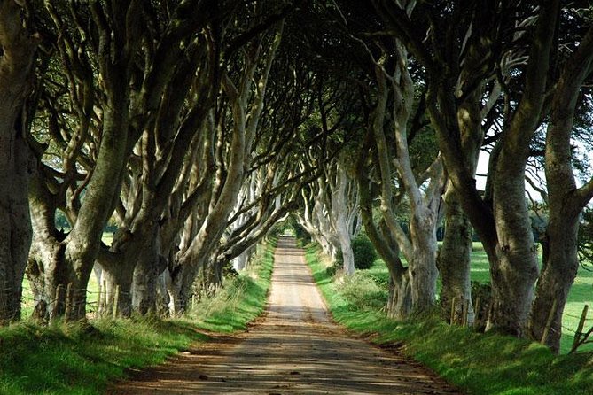 Game of Thrones and Giant's Causeway Day Tour from Belfast - Carrickfergus Castle and the first coastal views
