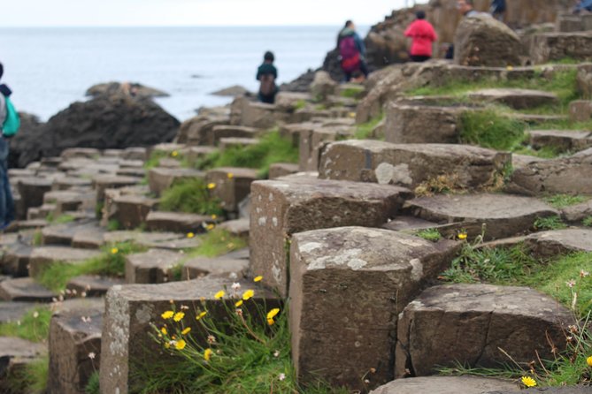 Game of Thrones and Giant's Causeway Day Tour from Belfast - The Dark Hedges and Arya’s road south