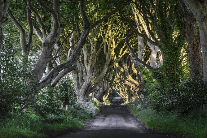 Game of Thrones and Giant's Causeway Full-Day Tour from Belfast - Why this tour works well from Belfast
