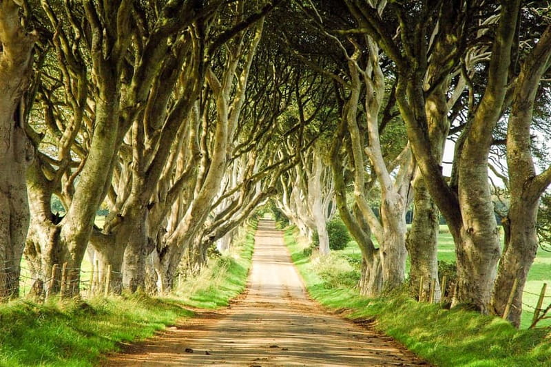 Game of Thrones & Giant's Causeway: Guided Tour from Belfast - Practical tips for making the day better