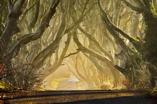 Game of Thrones - Private Audi A6 tour with Richard the Wildling - Murlough Bay, Fair Head, and the Stormlands