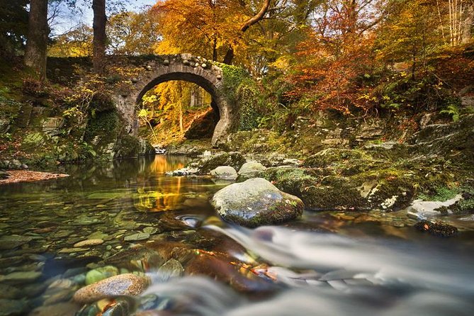 Game of Thrones - Tollymore Forest Trek - The bridge and the Stark direwolf discovery