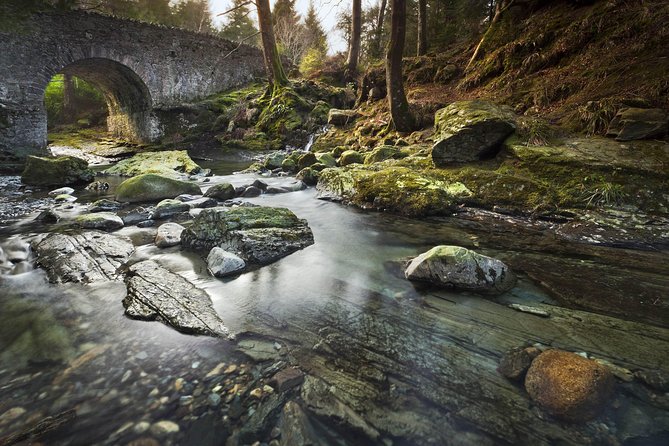 Game of Thrones - Tollymore Forest Trek - What the guide adds to a 90-minute walk
