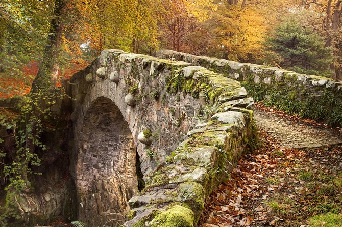 Game of Thrones - Tollymore Forest Trek - Who should book this forest trek?