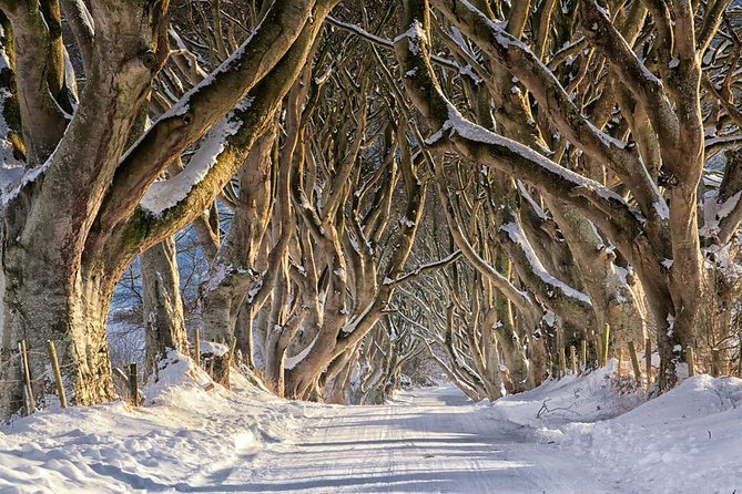 Giant's Causeway and more including Titanic Experience Ticket Tour from Belfast - How much value do you get for $90.28?