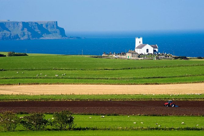 Giant's Causeway Full Day Tour from Belfast - Giant’s Causeway: the main event