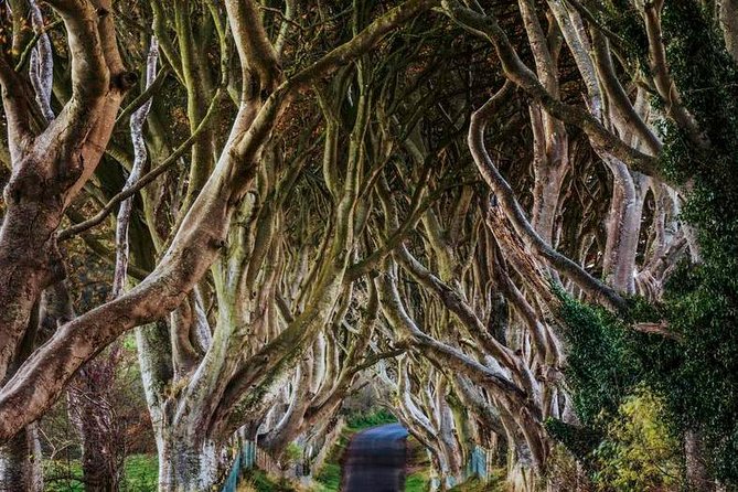 Giant's Causeway Full Day Tour from Belfast - Lunch, timing, and the real pace of the day