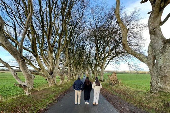Giant’s Causeway, Luxury Private Tour from Belfast, 1-7 people - The Dark Hedges: a quick, atmospheric start