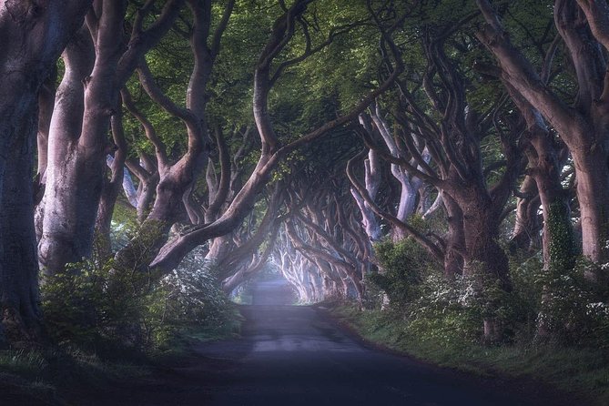 Giants Causeway & Game of Thrones Tour from Belfast - Ballintoy Harbour, the Iron Islands in real life