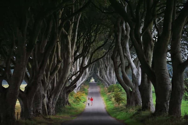 Giants causeway Irish castles & whiskey, Game of thrones - A one-hour look inside Bushmills Distillery