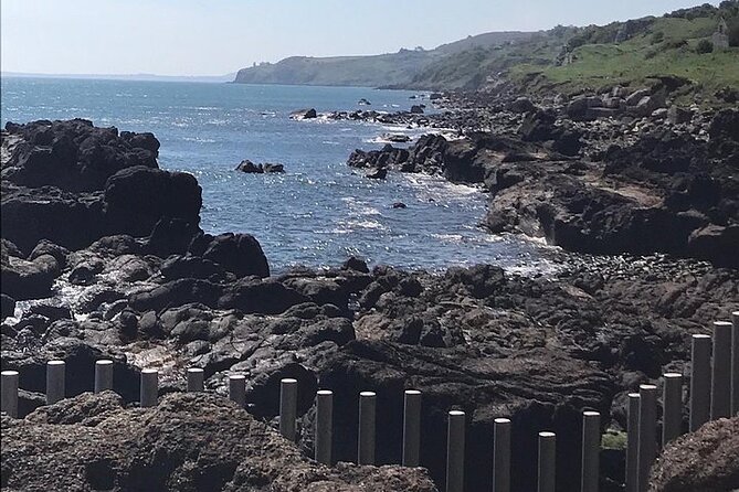 Giants Causeway ~ one stop tour - Why this short Belfast trip can make sense