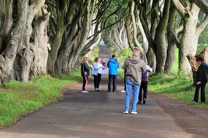 Giants causeway private tour 1 to 7 people - The Dark Hedges and its film connection