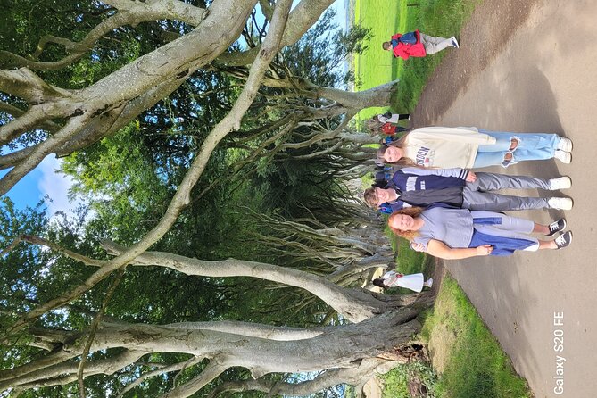 Giants causeway private tour 1 to 7 people - Titanic Belfast as the city finale