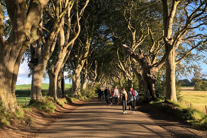 Giants Causeway, Rope Bridge, Carrickfergus Castle and Dark Hedges Tour - Carrick-a-Rede is a photo stop, not a bridge crossing