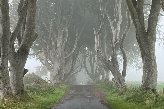 Giants Causeway Tour from Belfast in luxury 7 seater - Two hours at the Giant’s Causeway