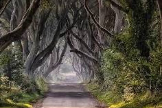 Giants Causeway Tour From Belfast including Game of thrones sites - Why a private Belfast day trip can work so well