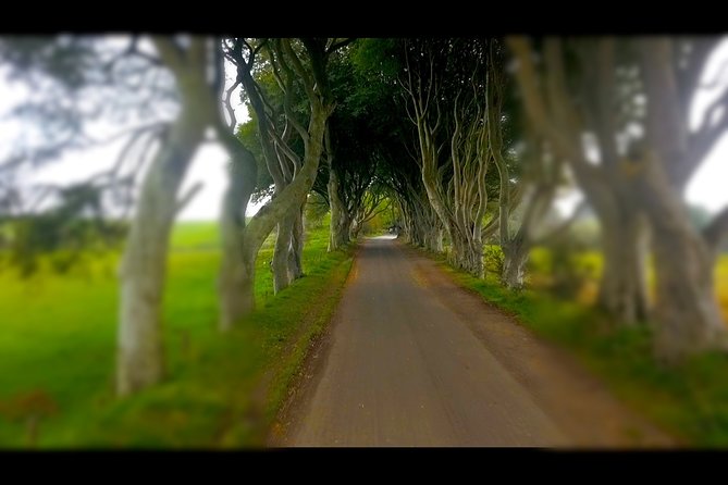 Guided Day Tour of Giant's Causeway from Belfast by Comfortable Coach - Dark Hedges and the Game of Thrones connection