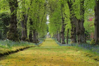 Hillsborough Castle Gardens only Ticket