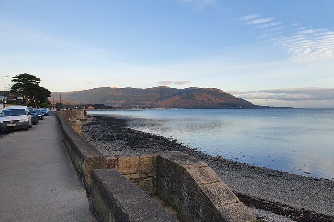 Ireland North Coast MEGA Trip for up to 8 Passengers - Giant’s Causeway: the main event