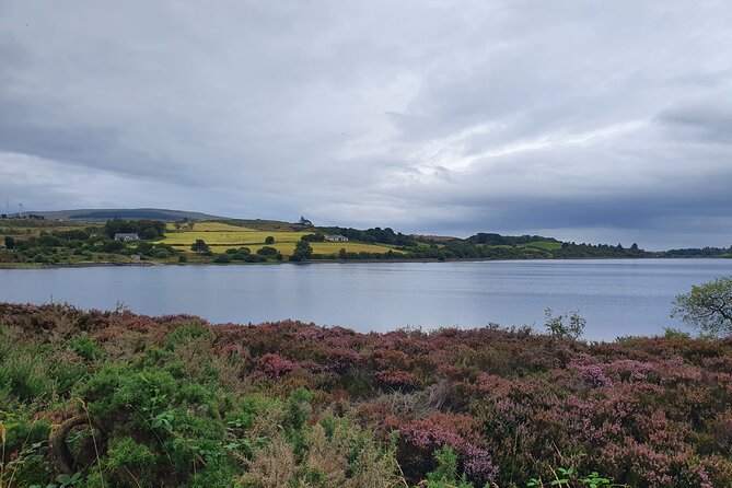 Ireland North Coast MEGA Trip for up to 8 Passengers - Bushmills Distillery brings local character