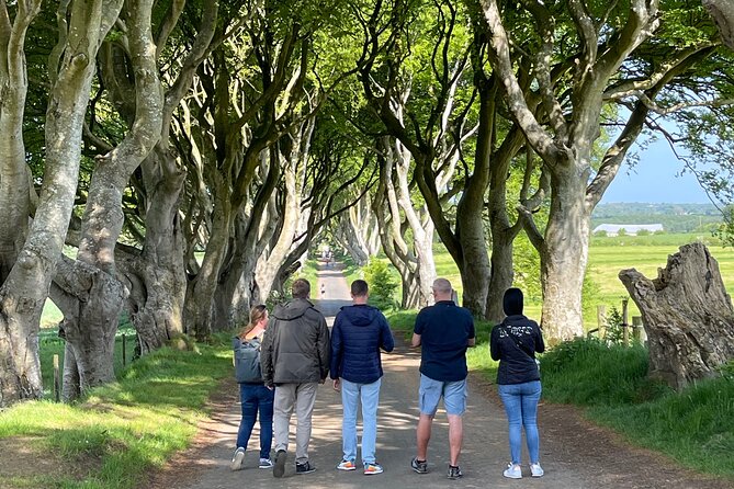 Luxury Tour of Giants Causeway from Belfast - The Dark Hedges: a quick start beneath old beech trees